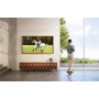 Телевізор Samsung QE75LS03AA