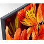 Телевізор Sony KD-55XF8599 Dolby Digital Plus Android TV 100 Гц