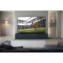 Телевізор Samsung UE-55M80H Mini LED 4K NQ4 AI Gen2 Smart TV (2026)