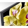 Телевізор Sony KD-75XG8096