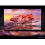 Телевізор Samsung QE-49Q60R