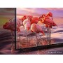 Телевізор Samsung QE-82Q70R