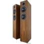Акустическая система Acoustic Energy AE 309