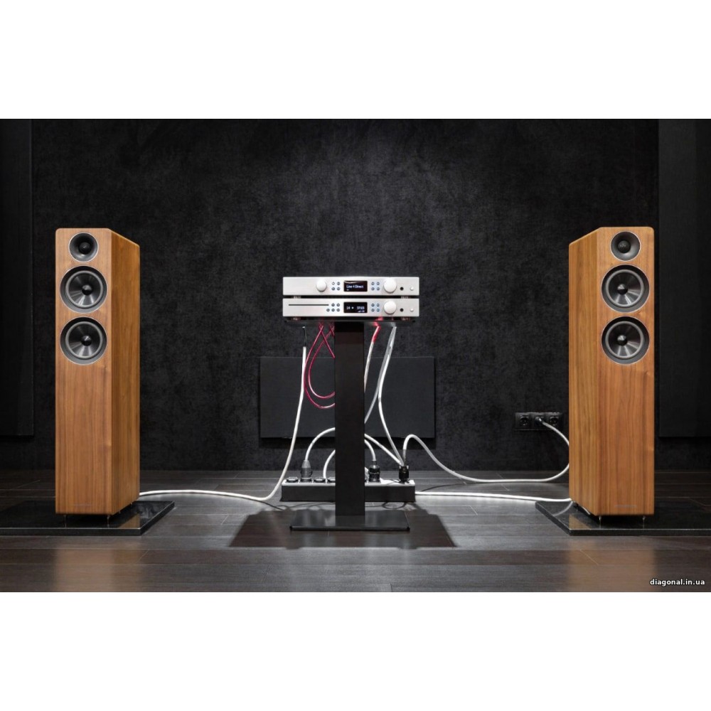 Акустическая система Acoustic Energy AE 309