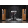 Акустическая система Acoustic Energy AE 309