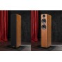 Акустическая система Acoustic Energy AE 309