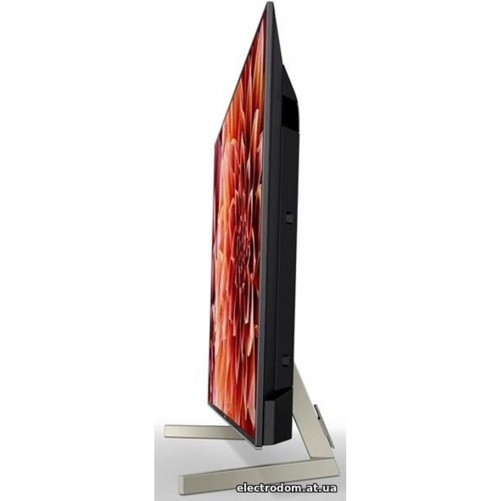 Телевізор Sony KD-55XF9005