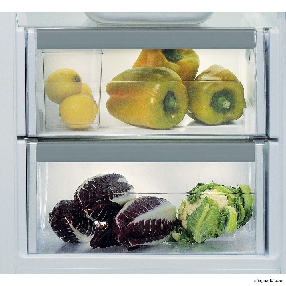 Встраиваемый холодильник Whirlpool ARG 18081