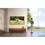 Телевізор Samsung The Frame QE65LS03A