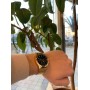 Чоловічий годинник Casio Standard Analogue MTP-V300G-1AVEF