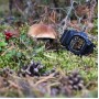 Наручний годинник Casio GD-350-1B