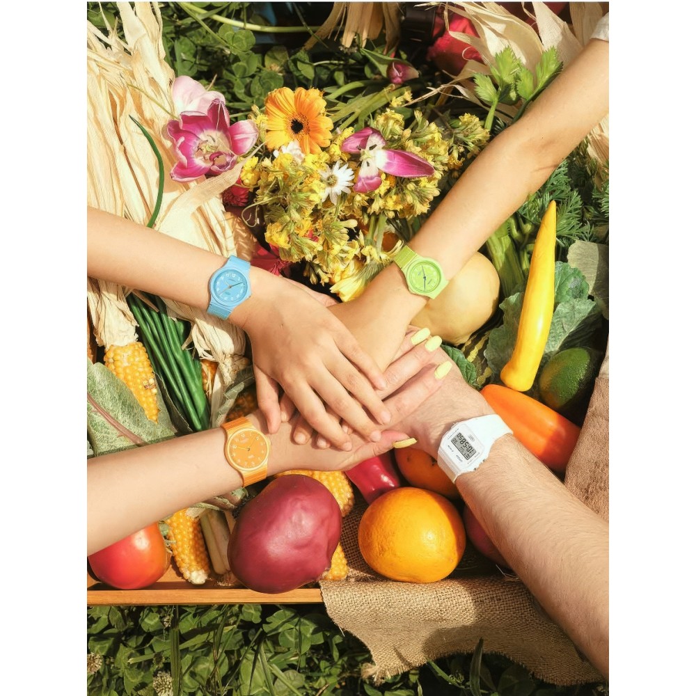 Наручний годинник Casio LQ-24B-2BEF